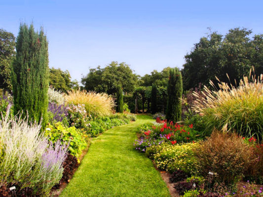 landscape with colorful flower and shrub planting