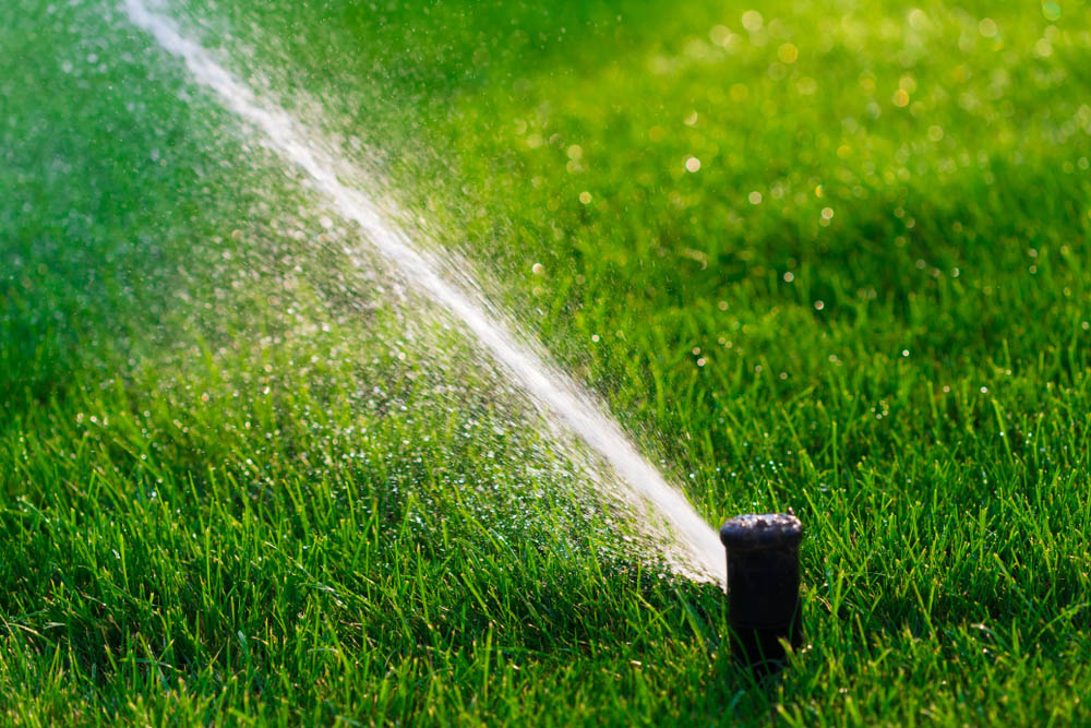 Lawn Irrigation Shutterstock 1456434503
