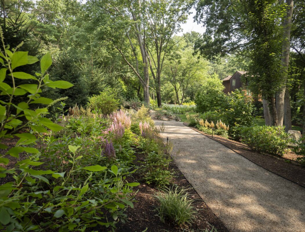 Private Woodland Landscape Design in Westwood MA | Land Design Associates